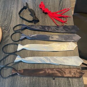 Men's Assorted Color Ties Set